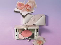 Christian Dior Cosmetics