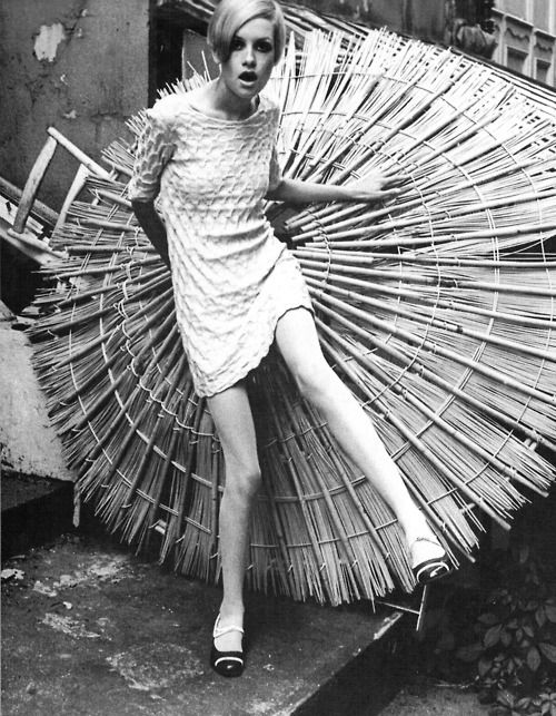 Twiggy-twiggy-23932540-500-643