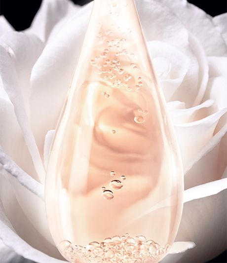prestige-cleansers-dior-2