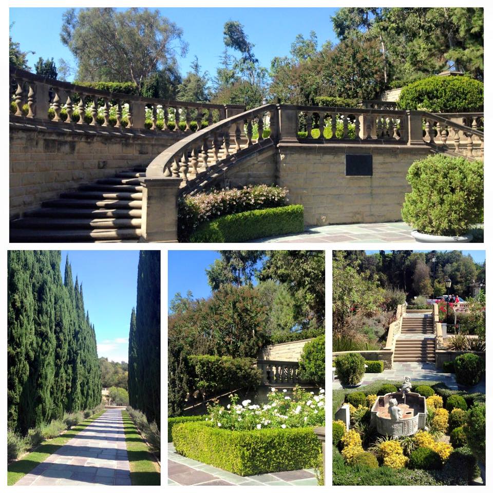 DMC-beverlyhills