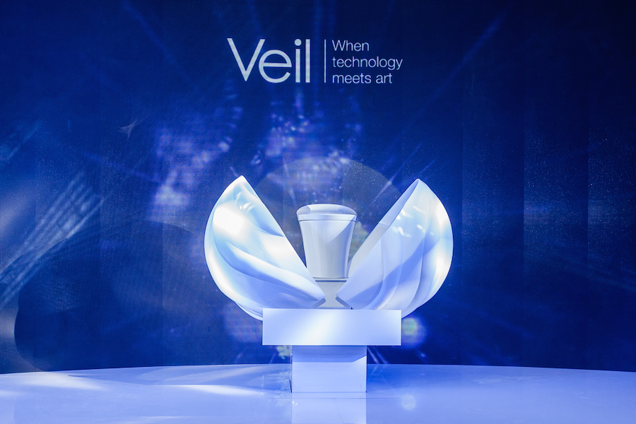 Bon cau Veil