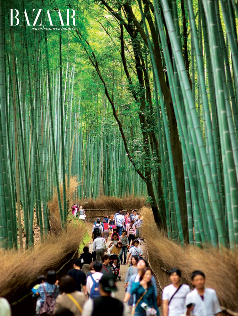 Khu rừng trúc nổi tiếng ở Kyoto thu hút nhiều du khách