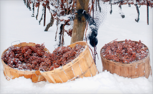 niagara-ice-wine-festival-1254022-2245762-regular