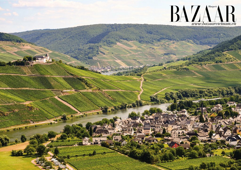 Những vườn nho xanh mượt bên dòng sông Mosel
