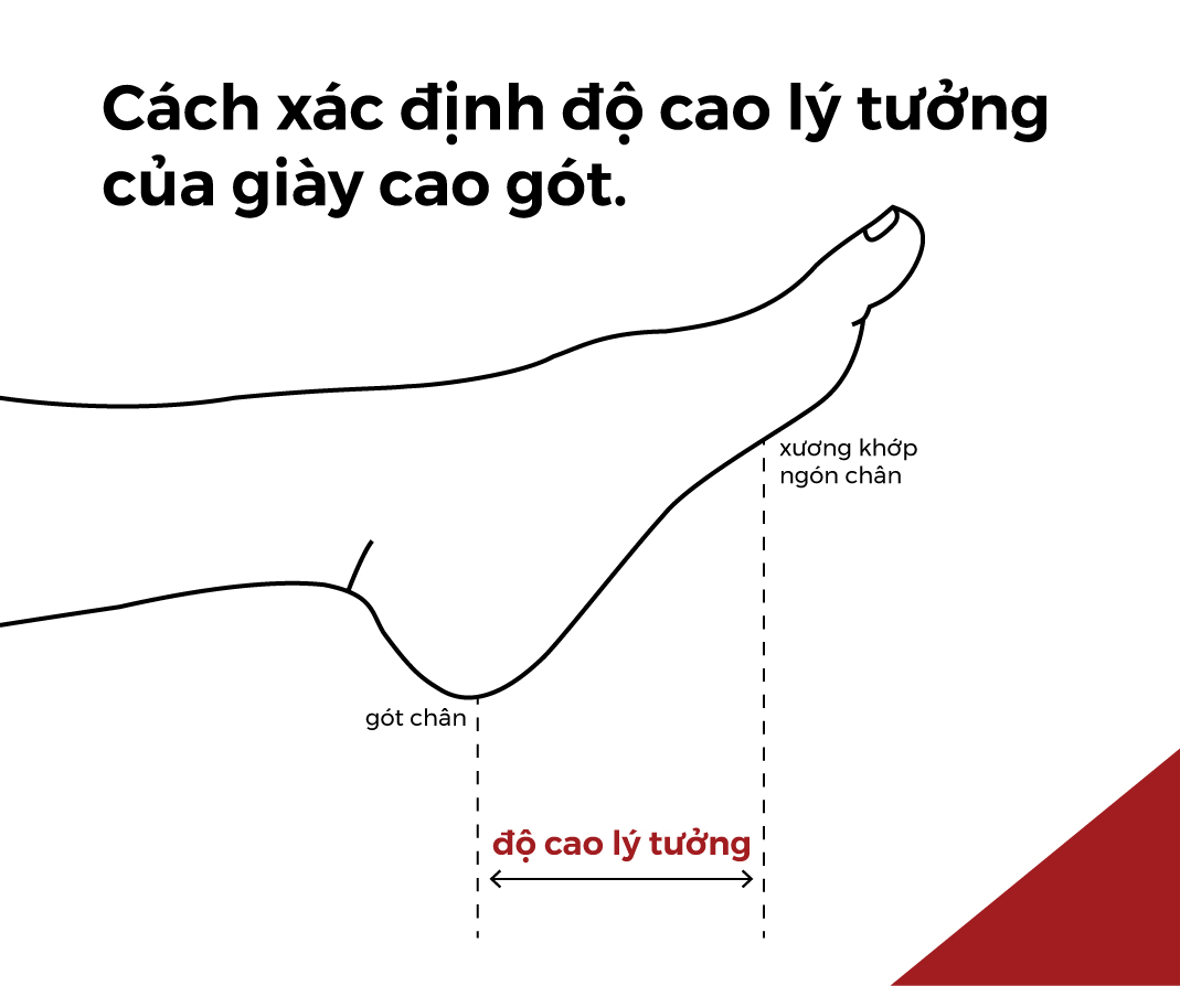 29171305 giay cao got cach do