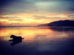 20172506_costa_rica_thumb