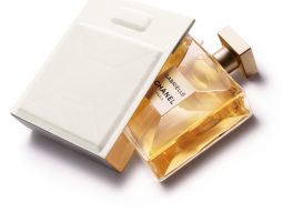 nuoc hoa gabrielle chanel 2