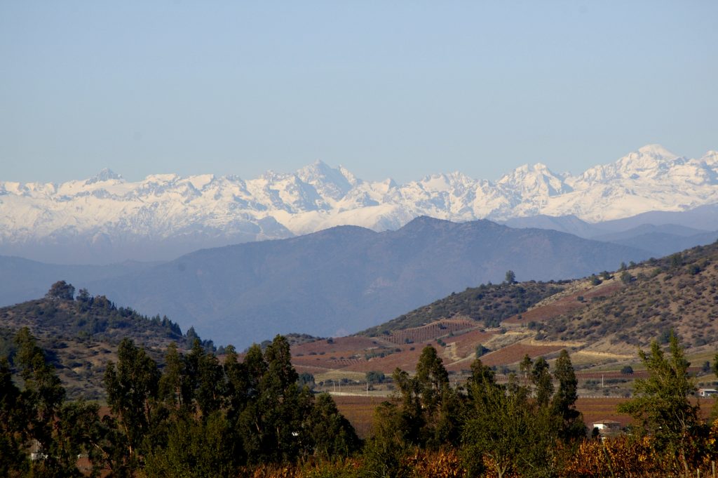 malbec 1
