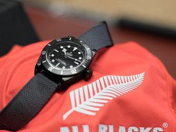 TUDOR-01