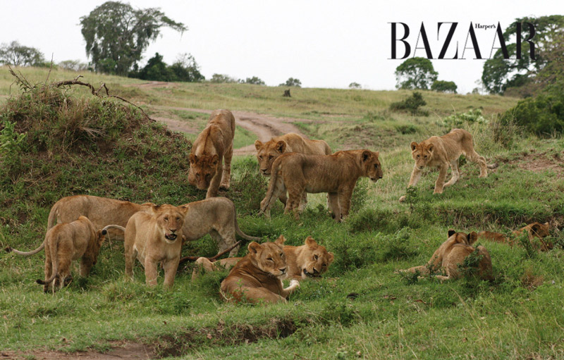 masai-mara-7