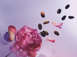 nước hoa Attrape-Rêves