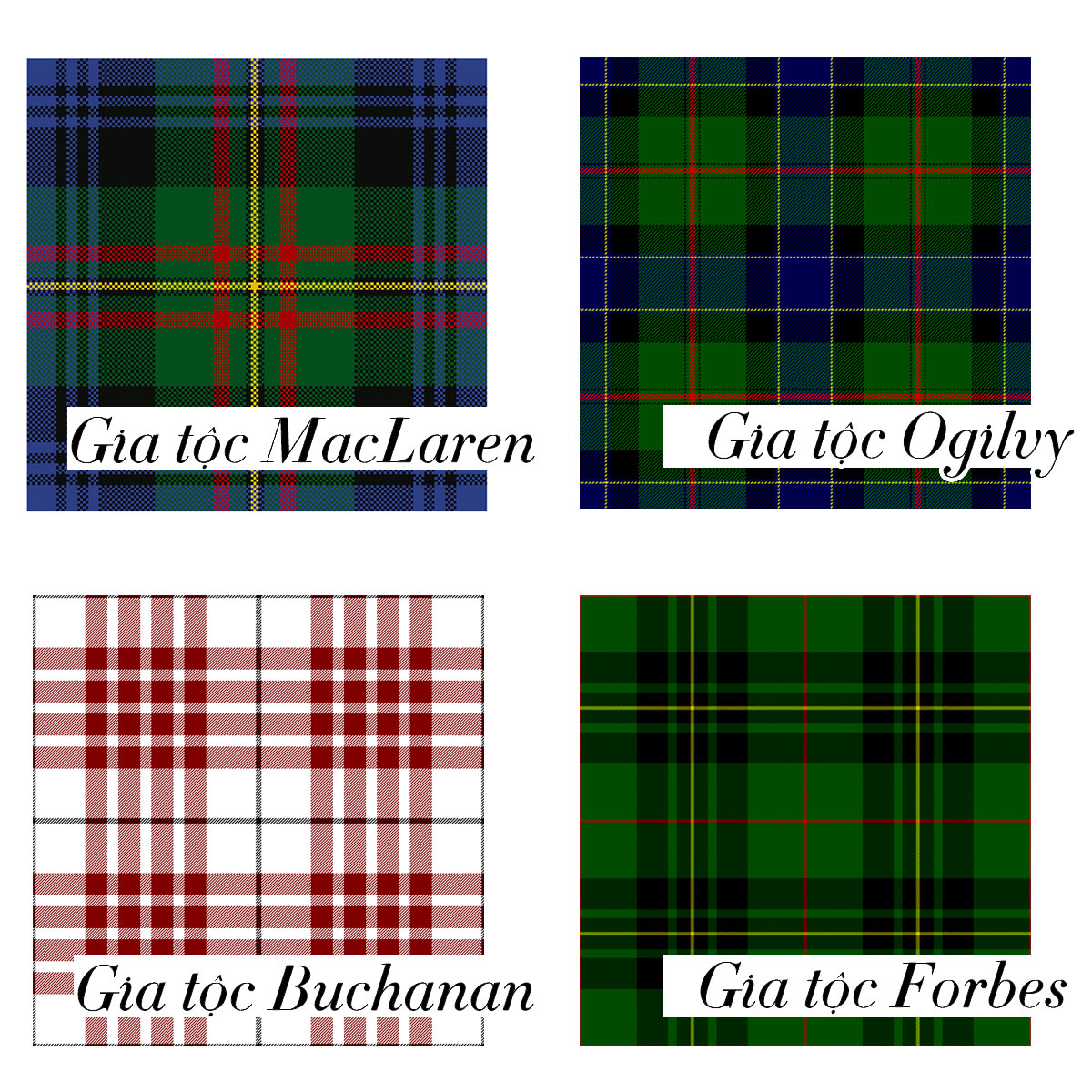 Lịch sử vải tartan: Từ chất liệu Scotland thành biểu tượng punk