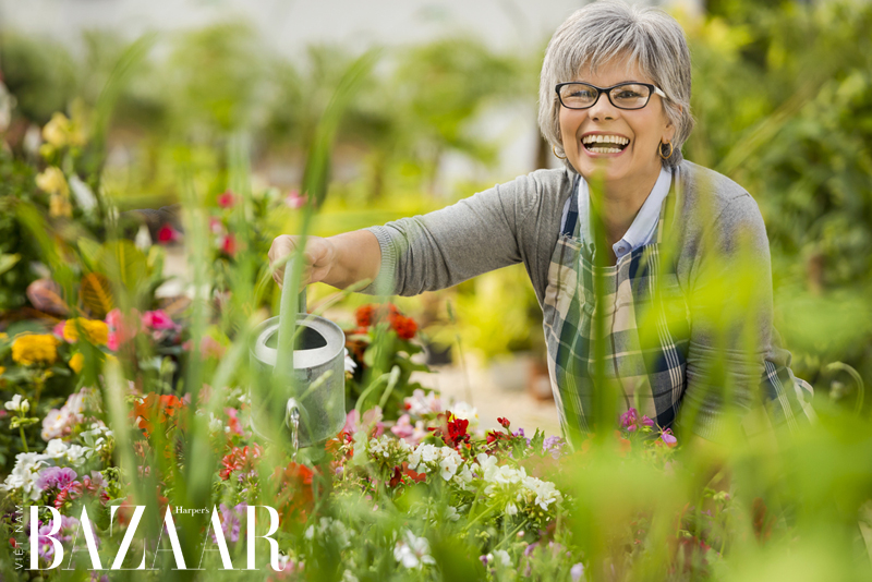Làm vườn là liệu pháp thiền định