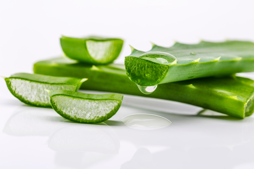 Dùng nha đam trị mụn ở cổ