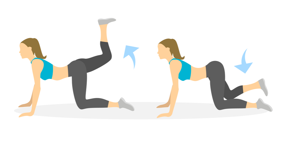 Donkey kicks, bài tập tăng kích thước vòng 3