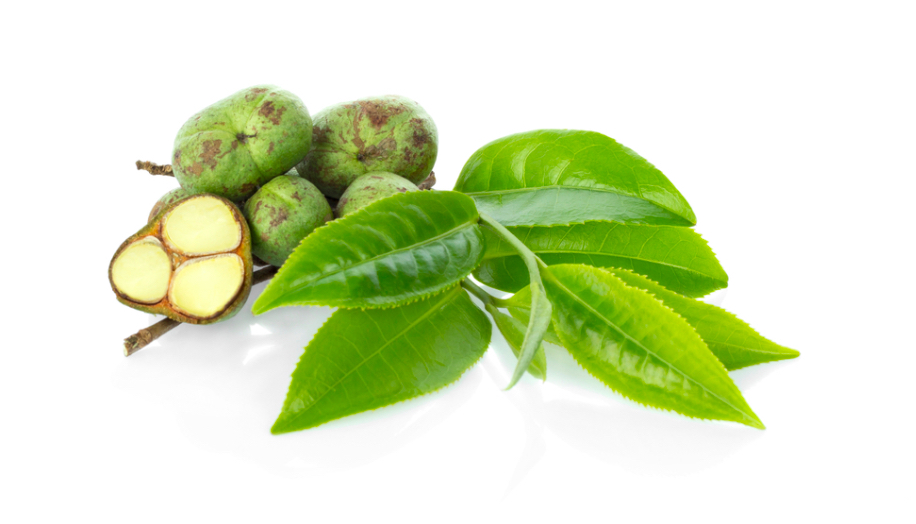 rửa mặt bằng nước trà xanh