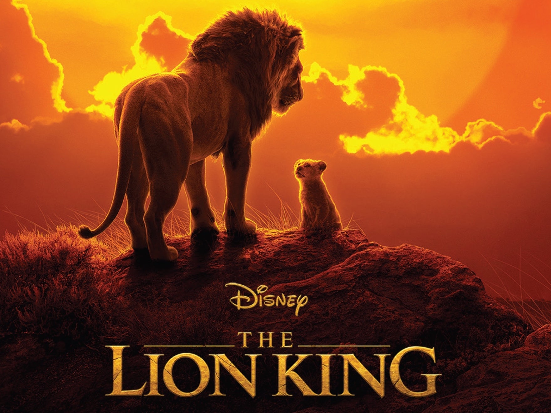 Vua sư tử 2019 (The Lion King 2019)