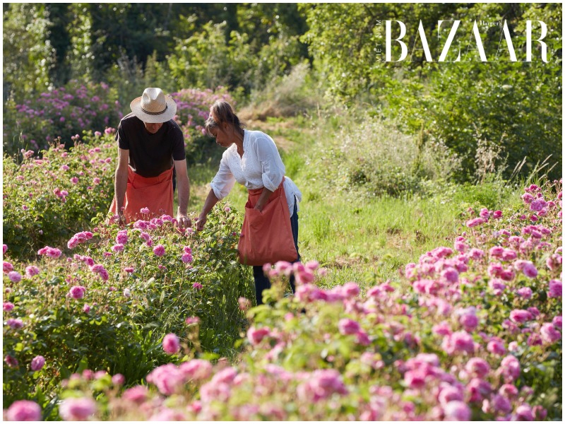 BZ-grasse-thanh-pho-nuoc-thom-feature-image