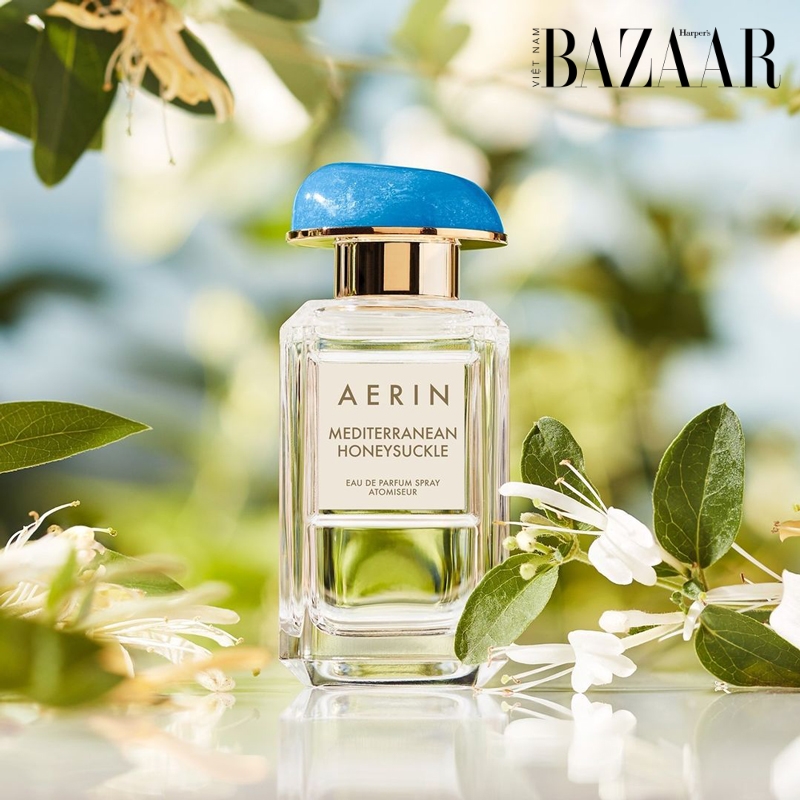 BZ-nuoc-hoa-mua-he-aerin-mediterranean-honeysuckle BZ-nuoc-hoa-mua-he-aerin-mediterranean-honeysuckle