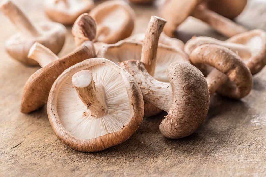 công dụng của nấm hương (shiitake mushroom)