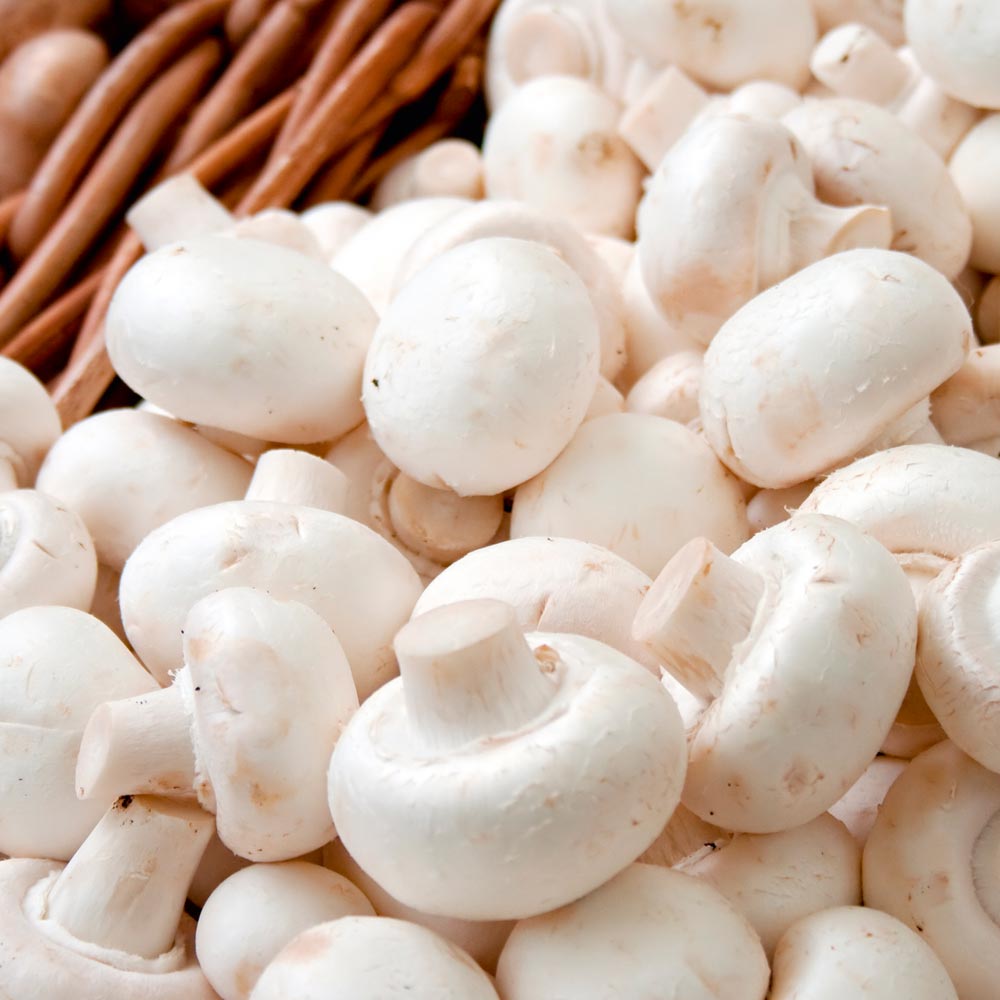 Nấm mỡ (button mushroom)