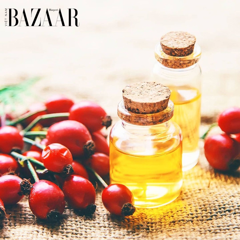 BZ-da-chay-nang-rosehip-oil