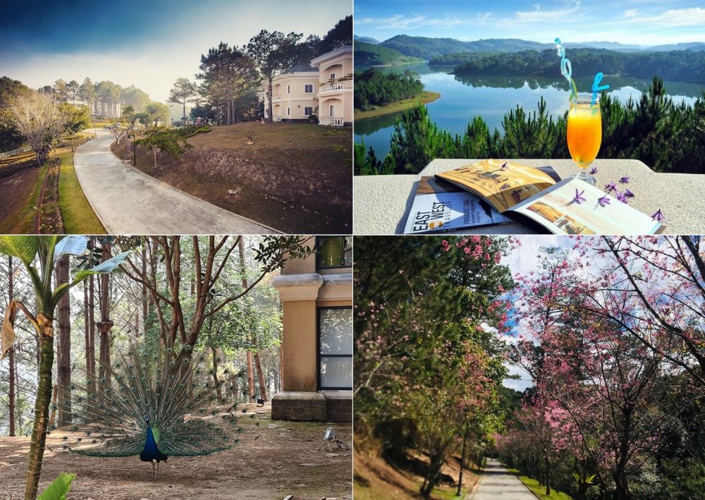 Dalat Edensee Lake Resort & Spa