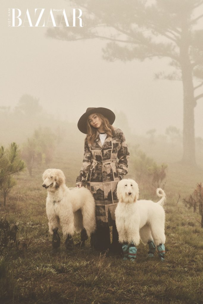 Nghe Trang Hà kể chuyện đưa giống chó thượng lưu Afghan Hound về Việt Nam