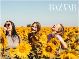 BZ-long-biet-on-ft-image