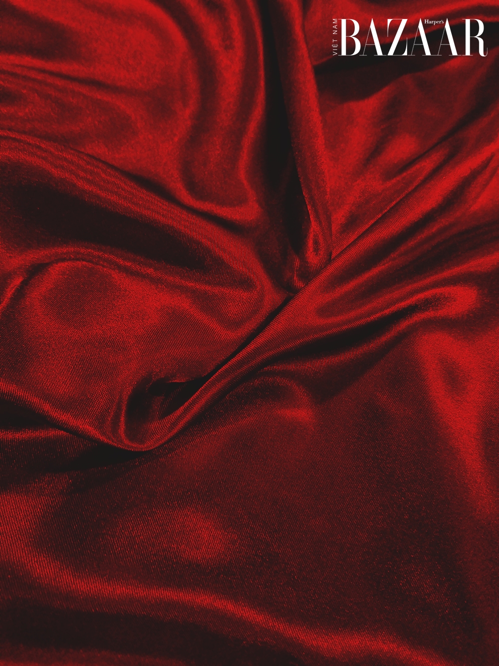 BZ-vo-goi-satin-1-unsplash