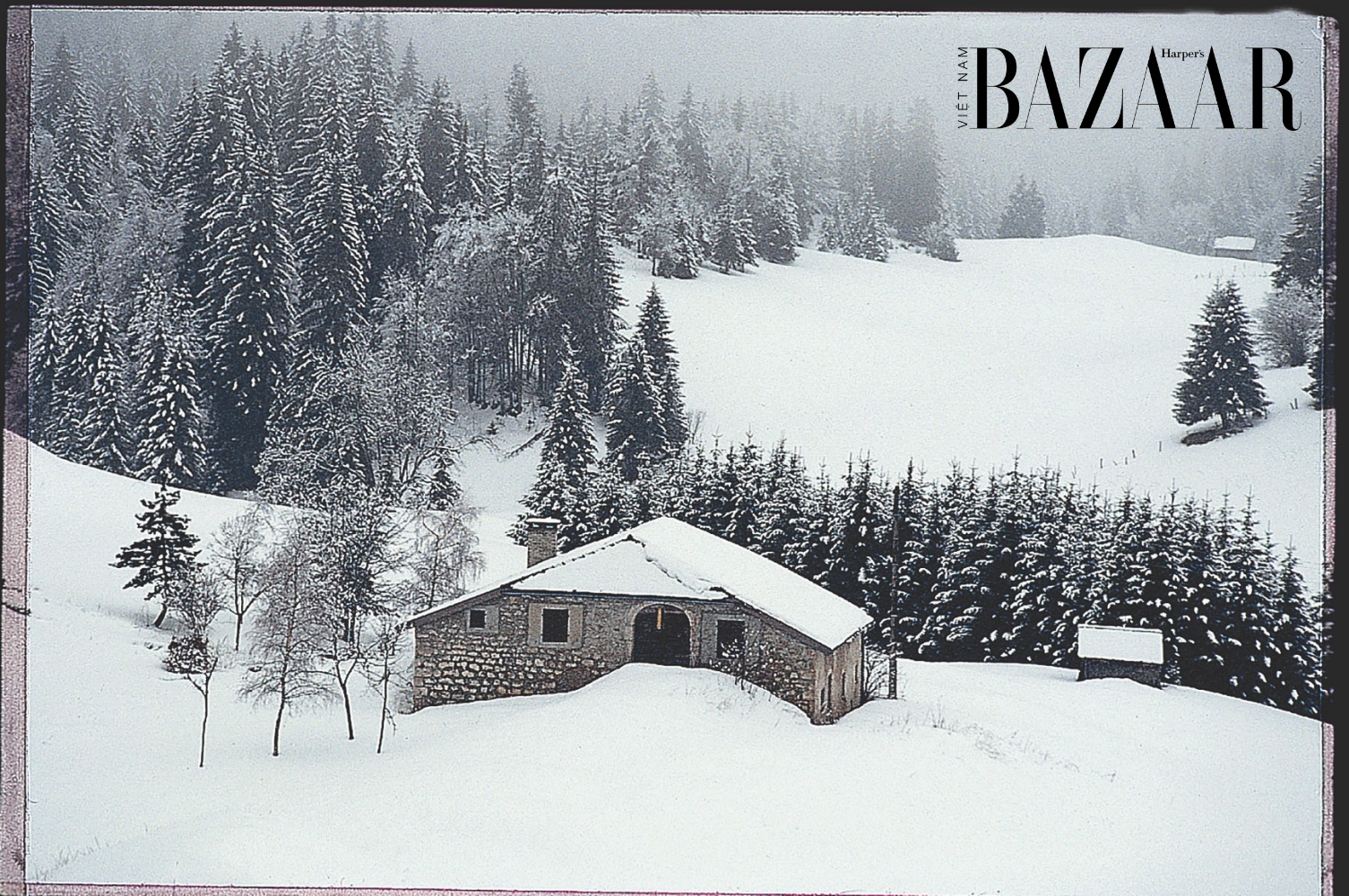 BZ-Louis-Vuitton-hinh-anh-2 