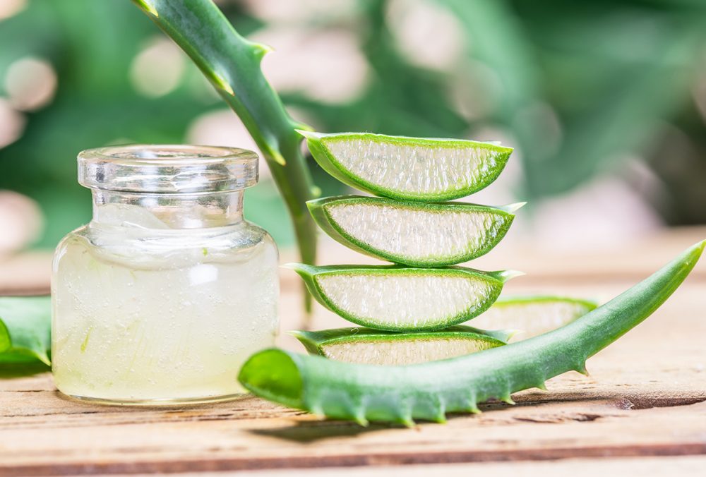 Cách ủ tóc bằng nha đam tươi