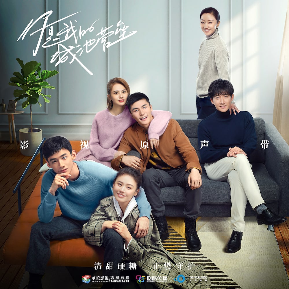 Em là thành trì doanh lũy của anh - You are My Hero (2021)
