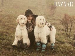 Nghe Trang Hà kể chuyện đưa giống chó thượng lưu Afghan Hound về Việt Nam