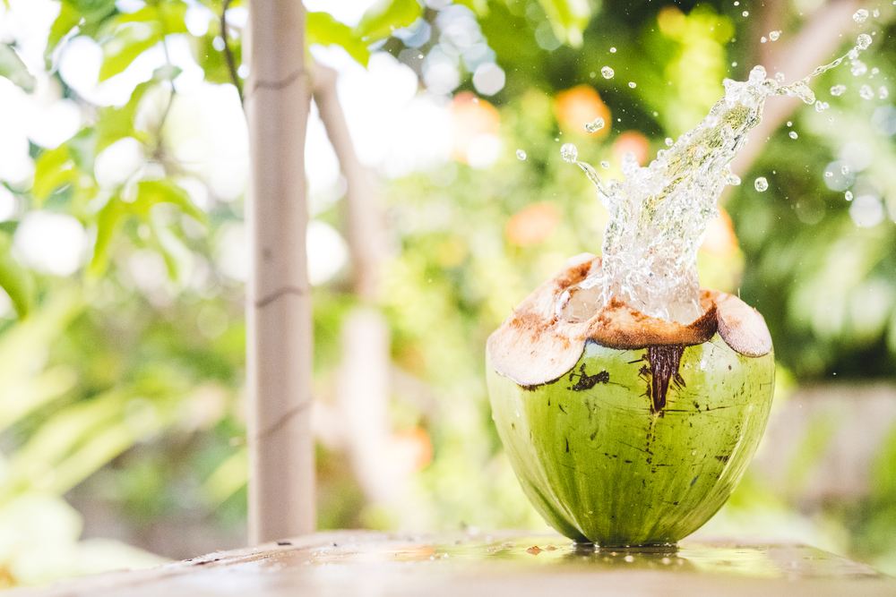 uống nước dừa vào buổi sáng để giảm cân hiệu quả hơn