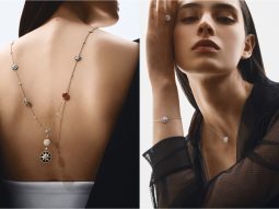 BZ-Dior-Rose-des-Vents-ava