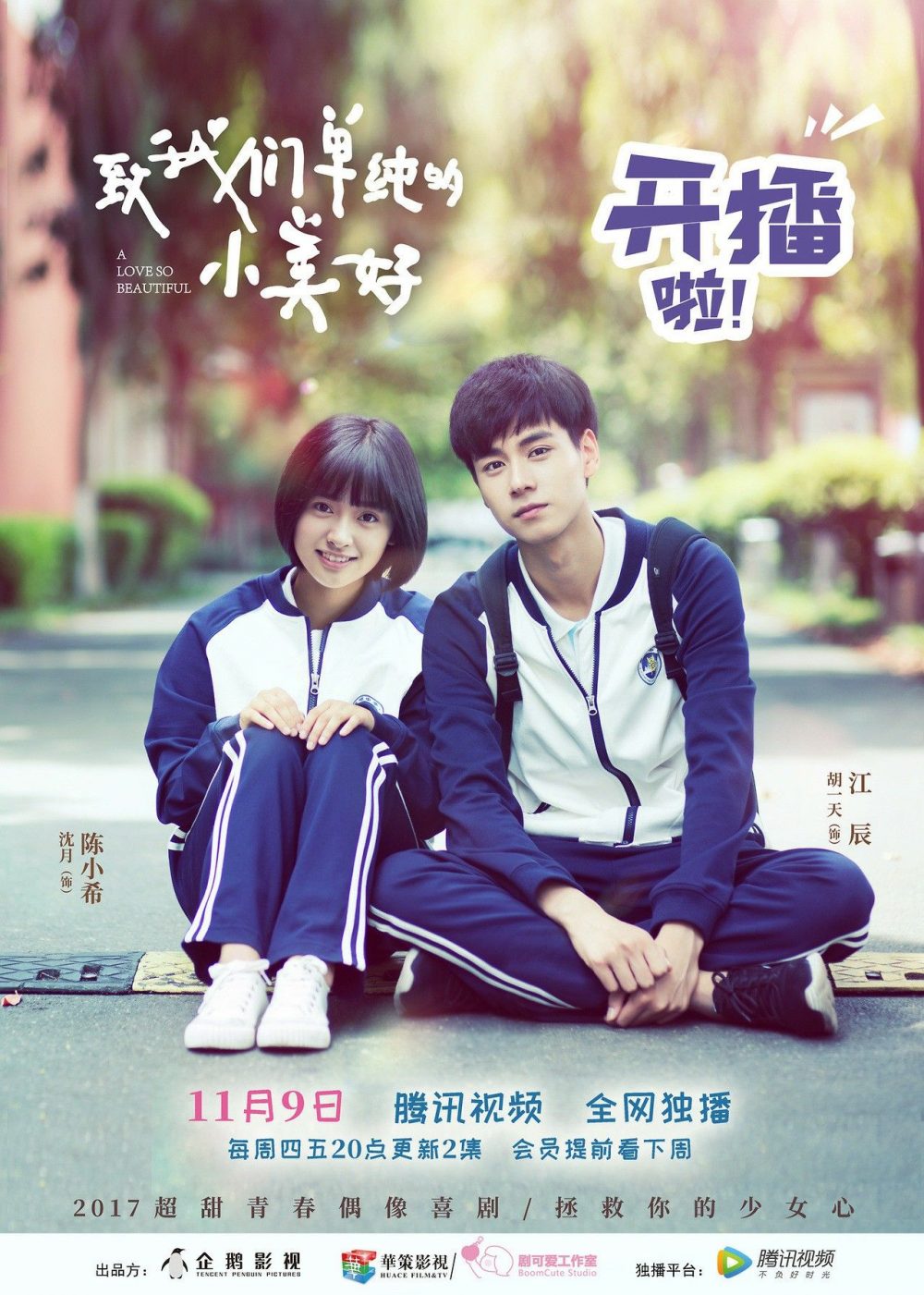 Phim của Hồ Nhất Thiên: A Love So Beautiful (2017)