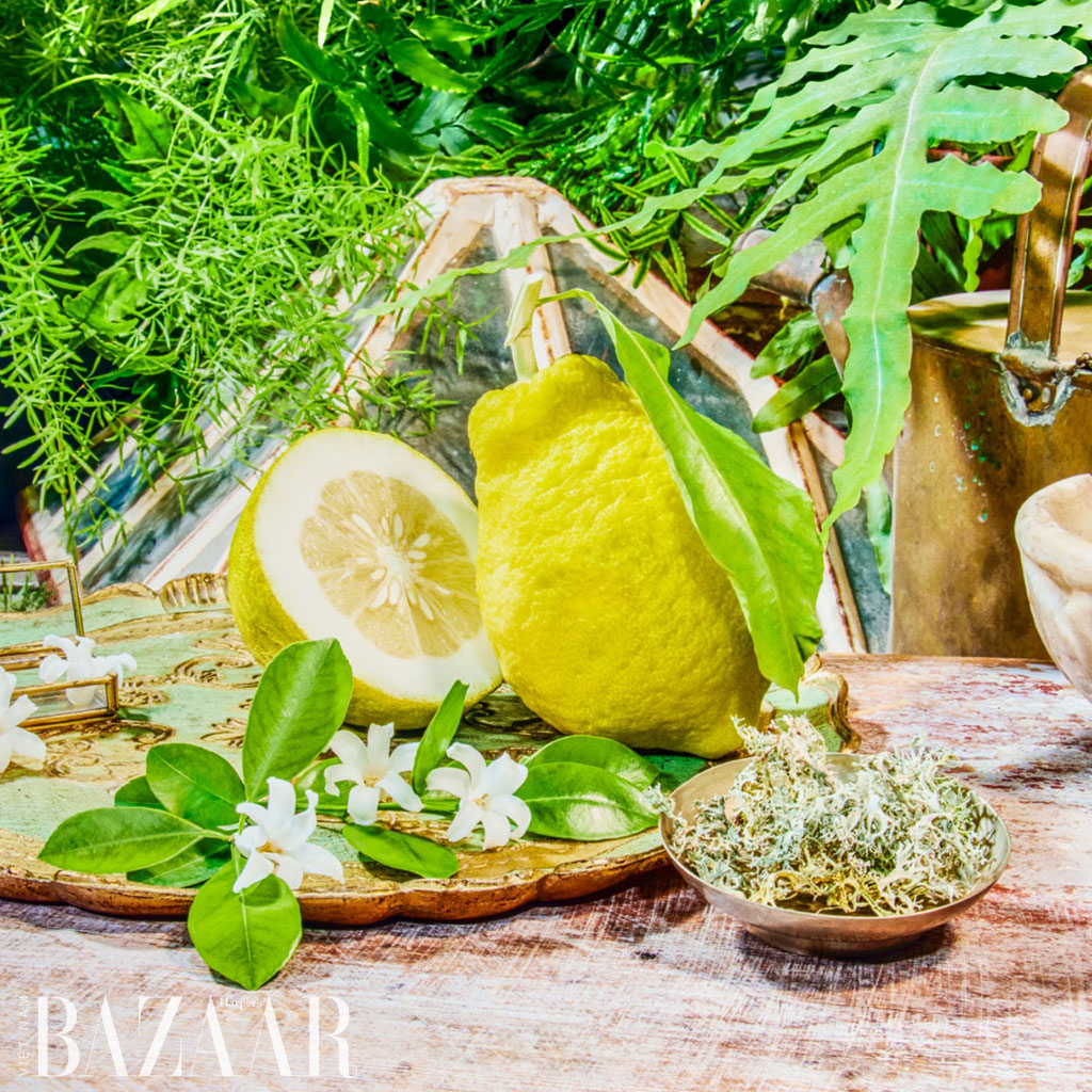 1921, hương nước hoa thuộc bộ sưu tập The Alchemist’s Garden của Gucci