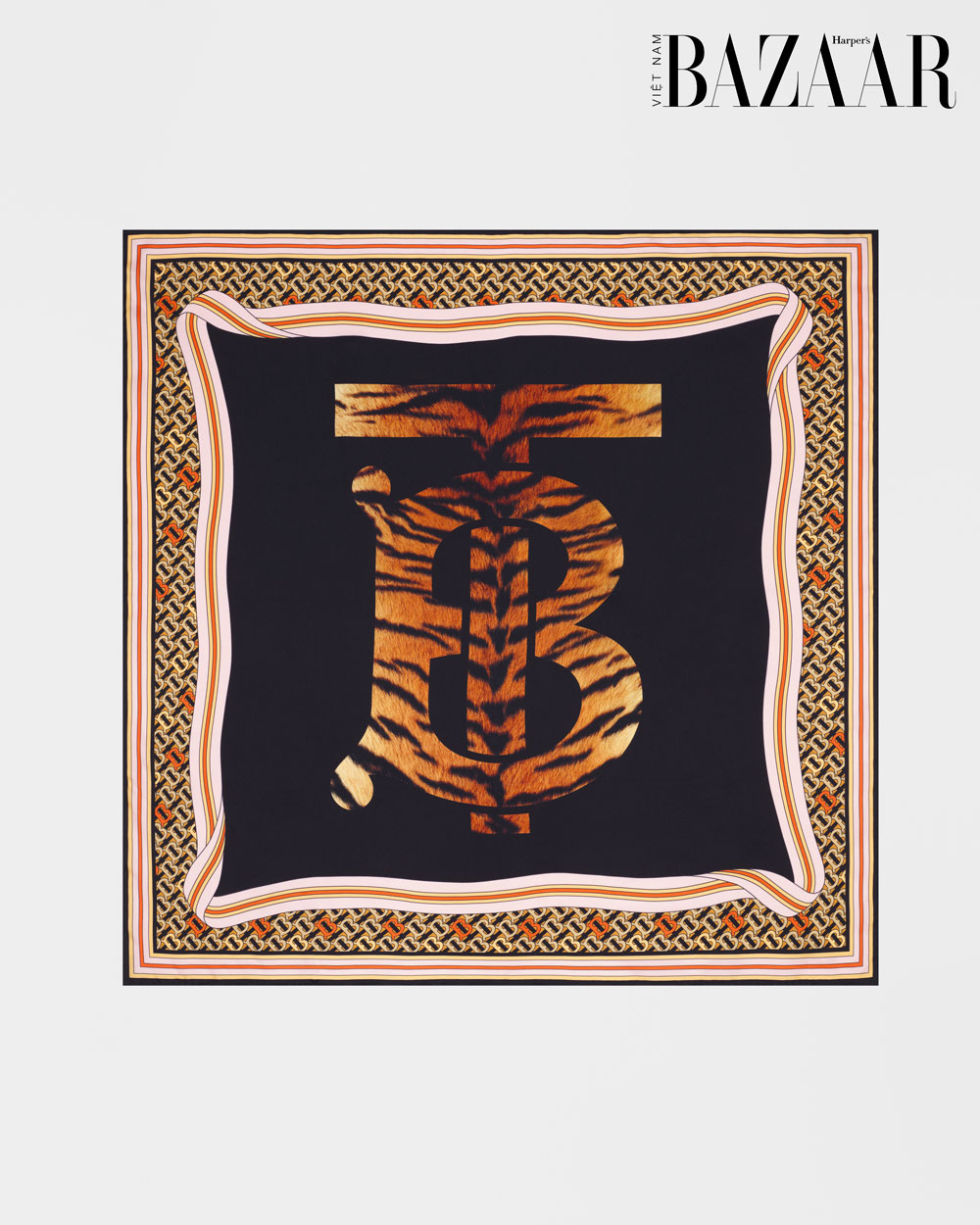 BZ-Burberry-2 