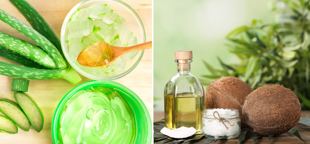 Cách ủ tóc bằng dầu dừa và nha đam