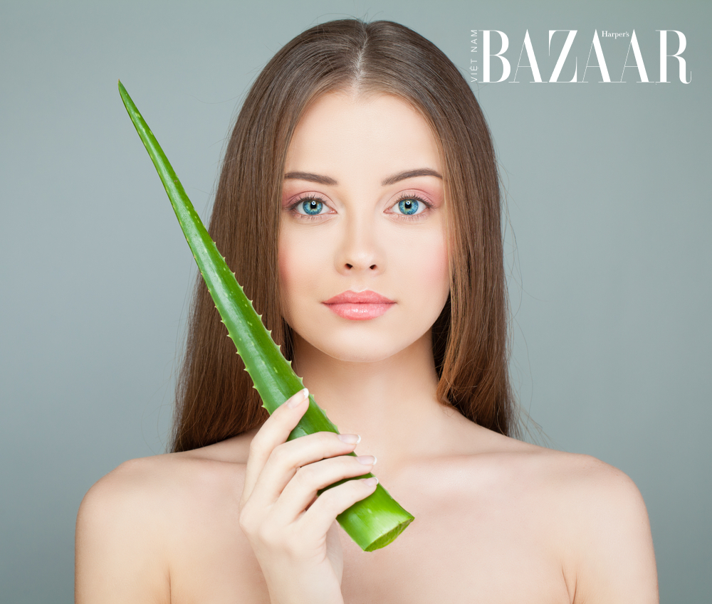 cách ủ tóc bằng nha đam tươi có tác dụng gì