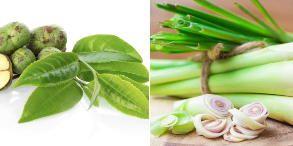 Sả và trà xanh