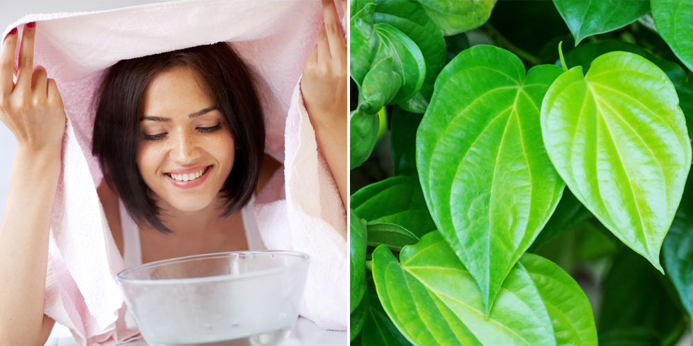 Cách xông mặt trị mụn bằng lá trầu không