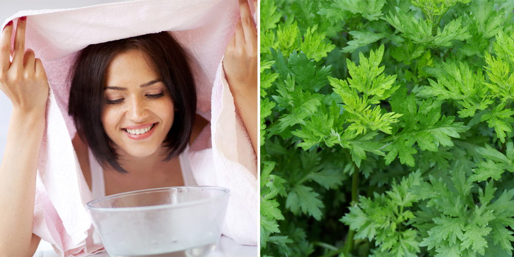 xông mặt với gì để trị mụn