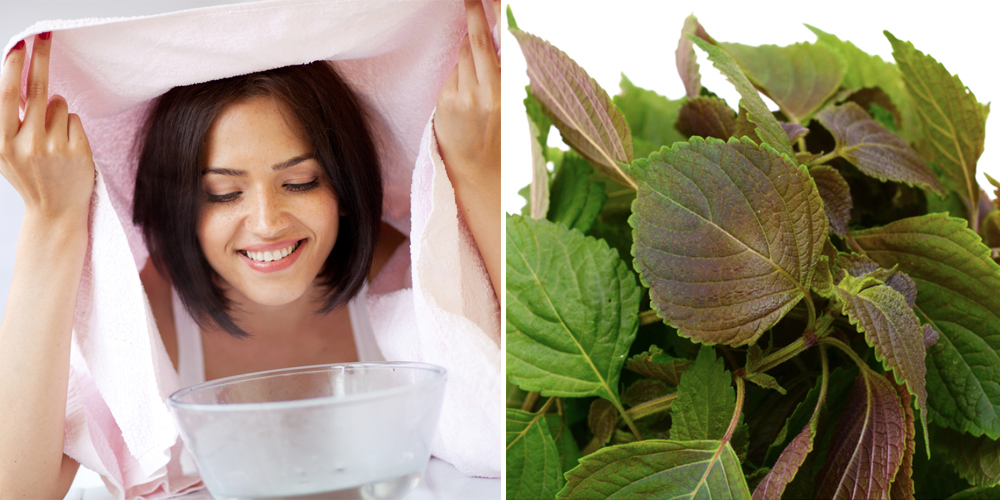 Xông mặt trị mụn bằng tía tô