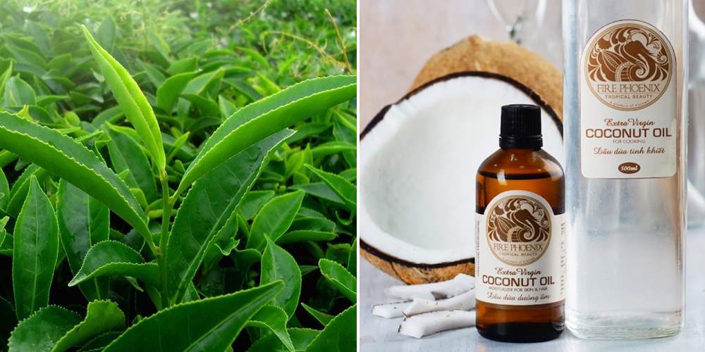 Cách dưỡng mi bằng dầu dừa và trà xanh