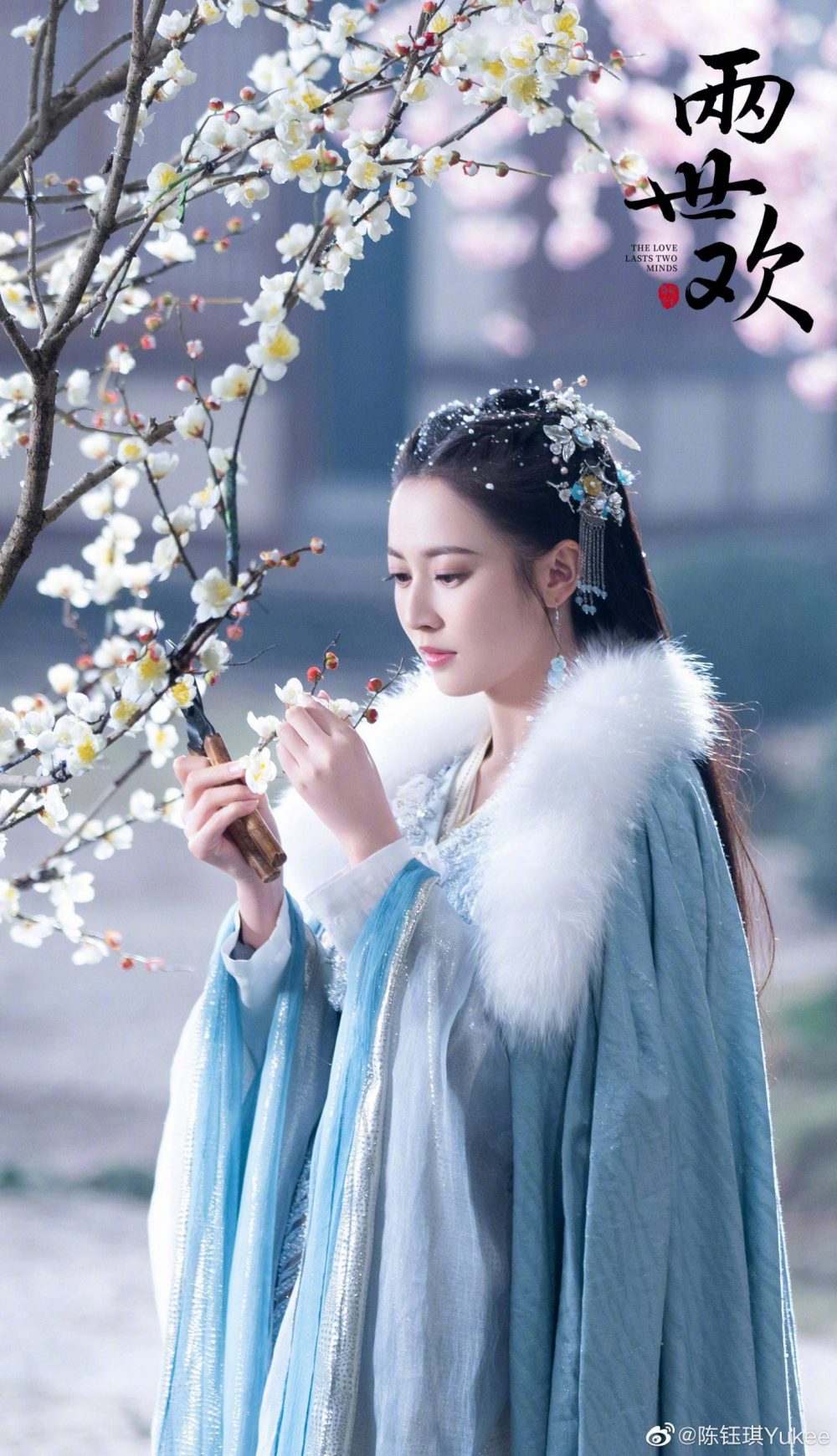 Lưỡng thế hoan - The Love Lasts Two Minds (2020)