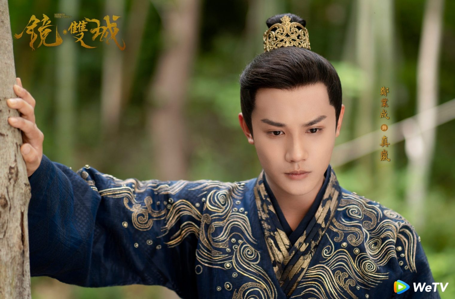 Chân Lam (Trịnh Nghiệp Thành đóng)