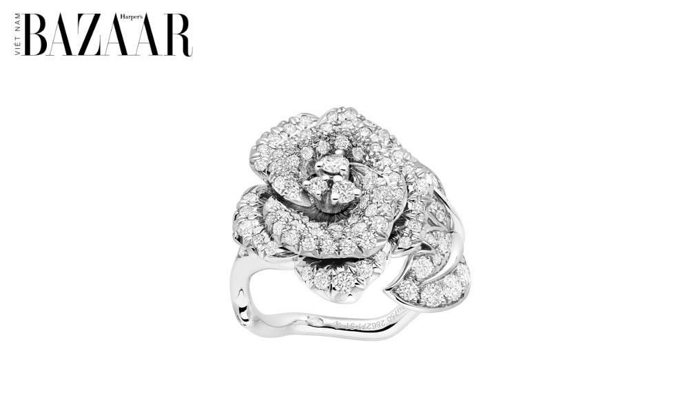 BZ-La-Rose-Dior-10 BZ-La-Rose-Dior-10