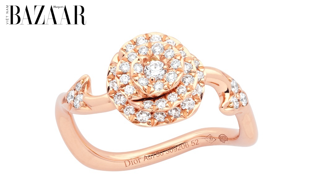 BZ-La-Rose-Dior-11 BZ-La-Rose-Dior-11